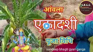 Amalaki Ekadashi Pooja 10 March 2025 !! आमलकी या रंगभरी एकादशी पूजा विधि,मिलेगा मनचाहा फल