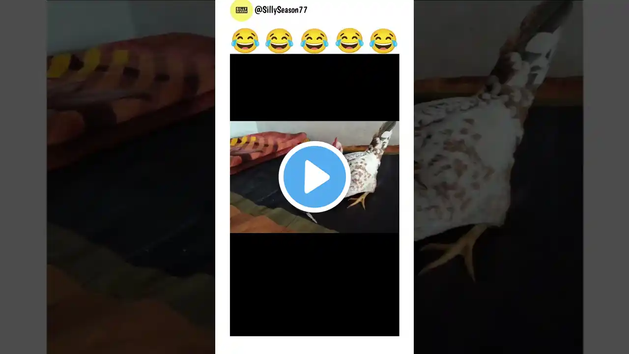 Wait For End | Funny video 😂 #shorts
