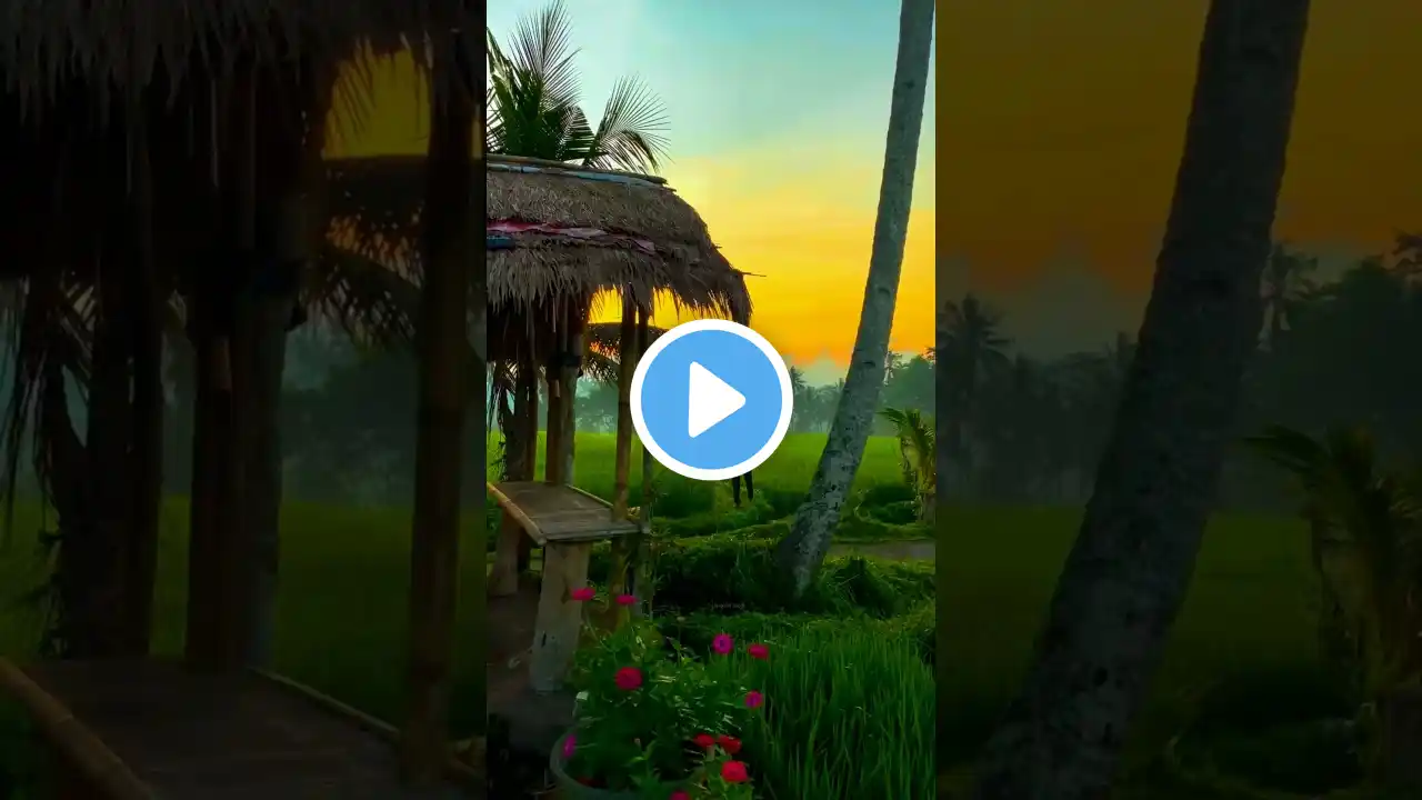 Beautiful Place Nature π #short #shortsviral #minivlog