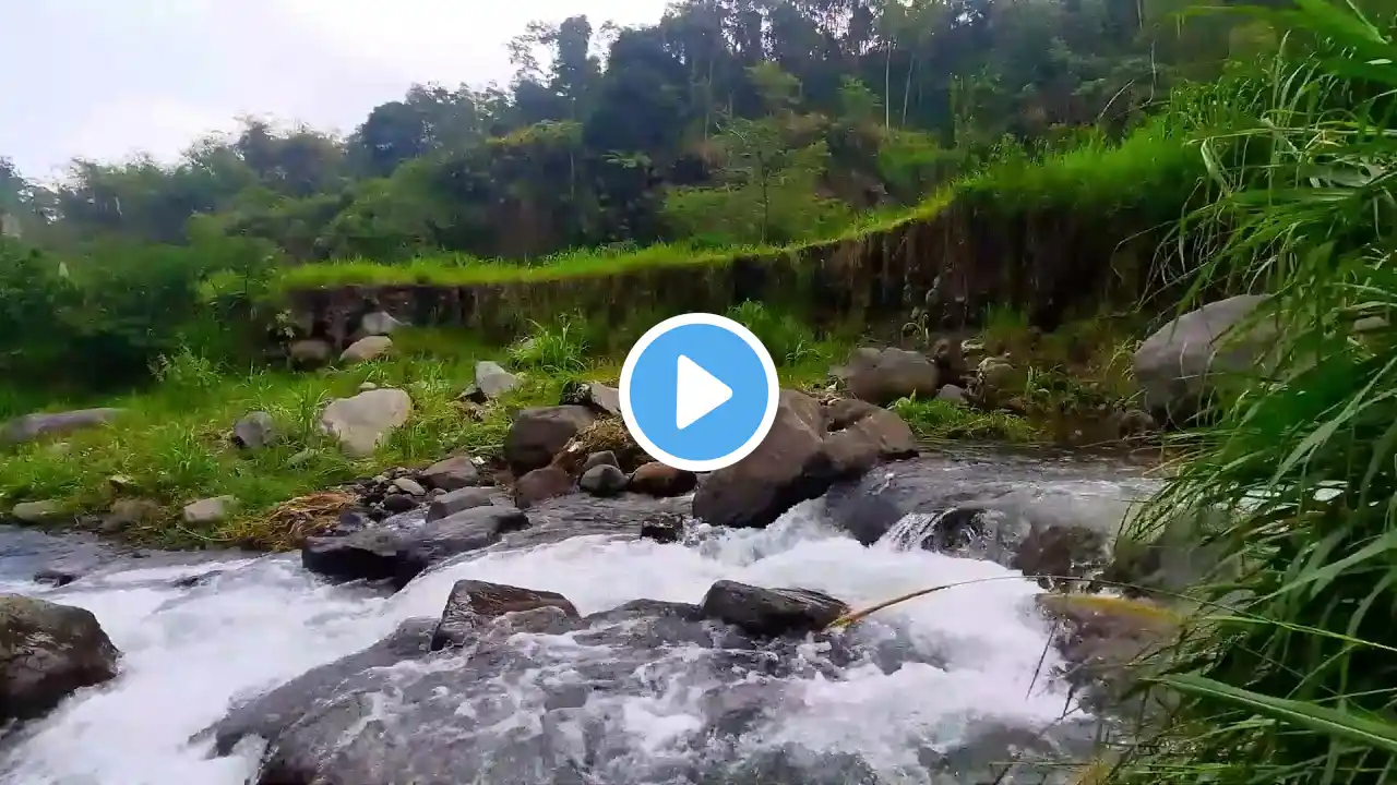 Calm River Flow for Healing and Study Tranquil Water Sounds for Relaxation and Deep Focus