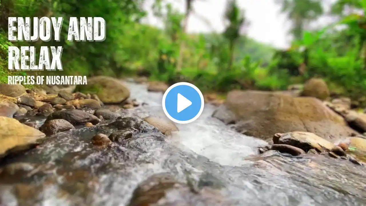 Nature’s Beauty: A Clear River Amidst Lush Greenery | Relaxing River Sounds for Sleep & Meditation