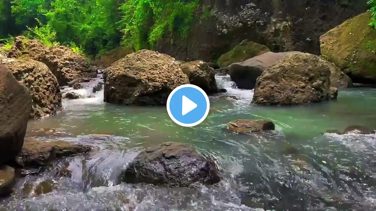 Relaxing River Sounds in a Lush Green Forest | Flowing Water for Sleep & Stress Relief