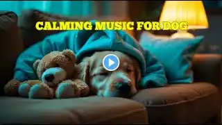 12 HOURS of Dog Calming Music For Dogs🎵💖Anti Separation Anxiety Relief Music🐶Sleep dog Healing🎵