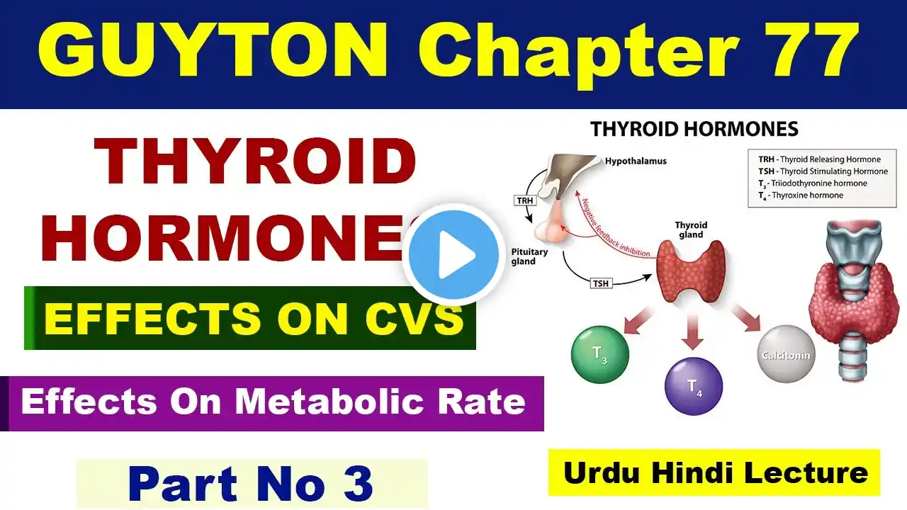 Guyton Chapter No 77 | Thyroid Hormones | Effects On CVS, Metabolic Rate | Thyroid Gland | PART 3