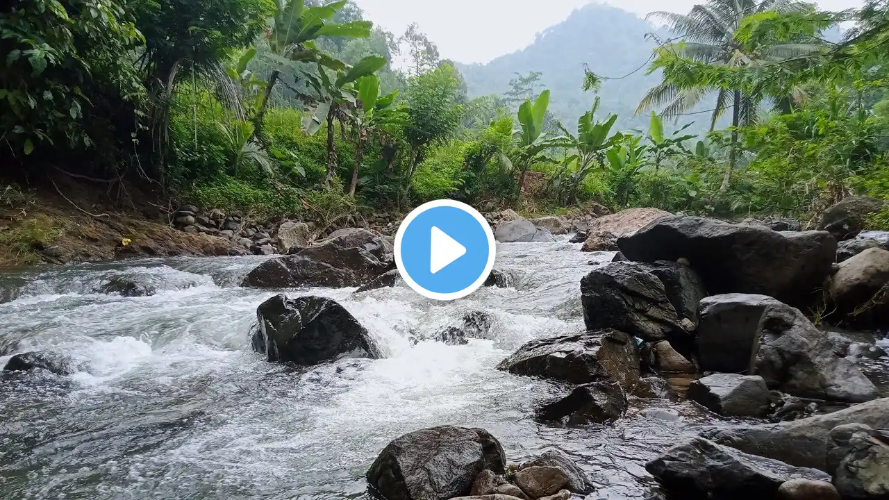 Nature Sounds of a Forest River for Relaxing-Natural meditation music of a Waterfall & Bird Sounds