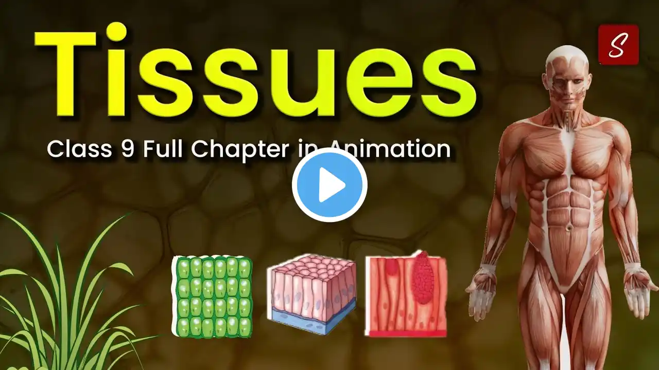 Tissues Class 9 full chapter (Animation) | Class 9 Science Chapter 6 | CBSE | NCERT