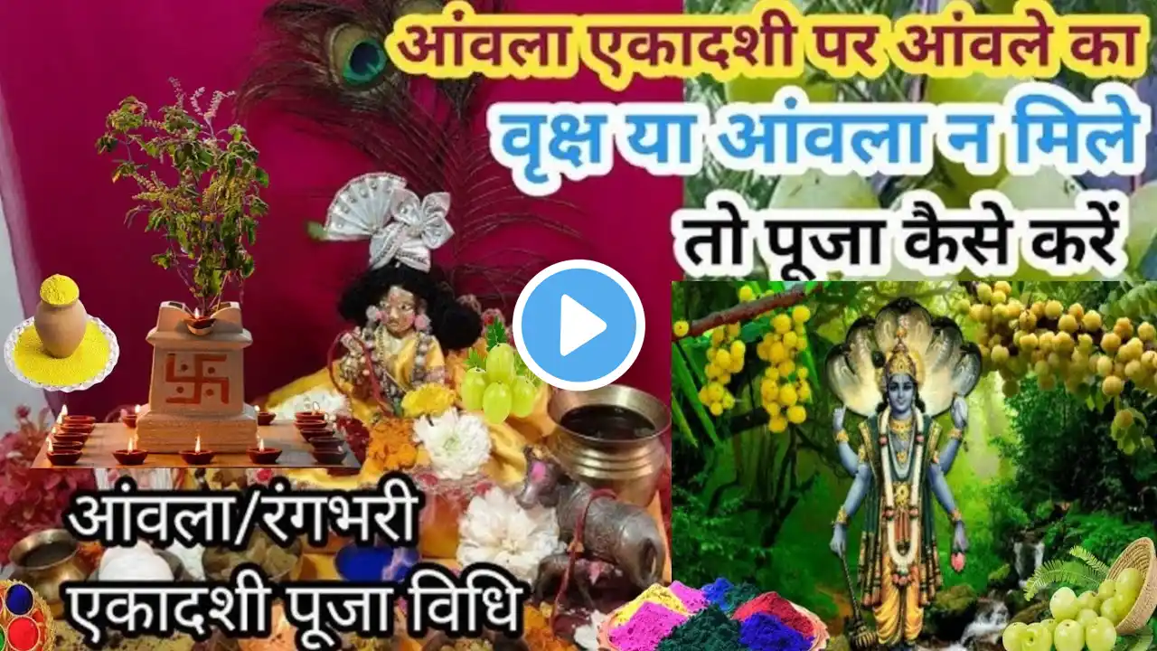 आंवला/रंगभरी एकादशी पूजा विधि/ मुहूर्त,पारणसंपूर्ण एकादशी पर ये कामजरुर करना कुंभ स्नान सफल जायेधन