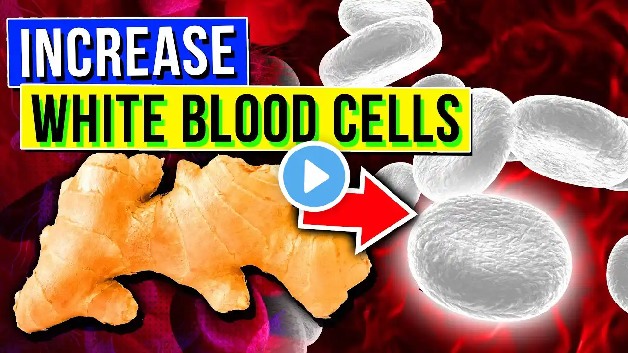 5 SUPERFOODS To Increase White Blood Cells Count & Boost Immunity