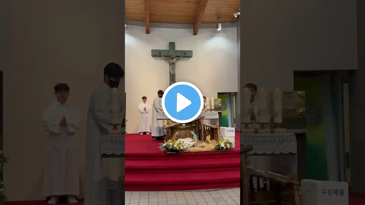 주님 성탄 대축일 낮 미사 The Nativity of the Lord—Mass during the Day 시애틀 성 김대건 안드레아 성당