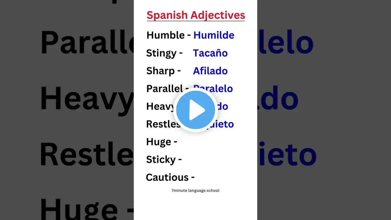 Spanish Adjectives You Need to Know!