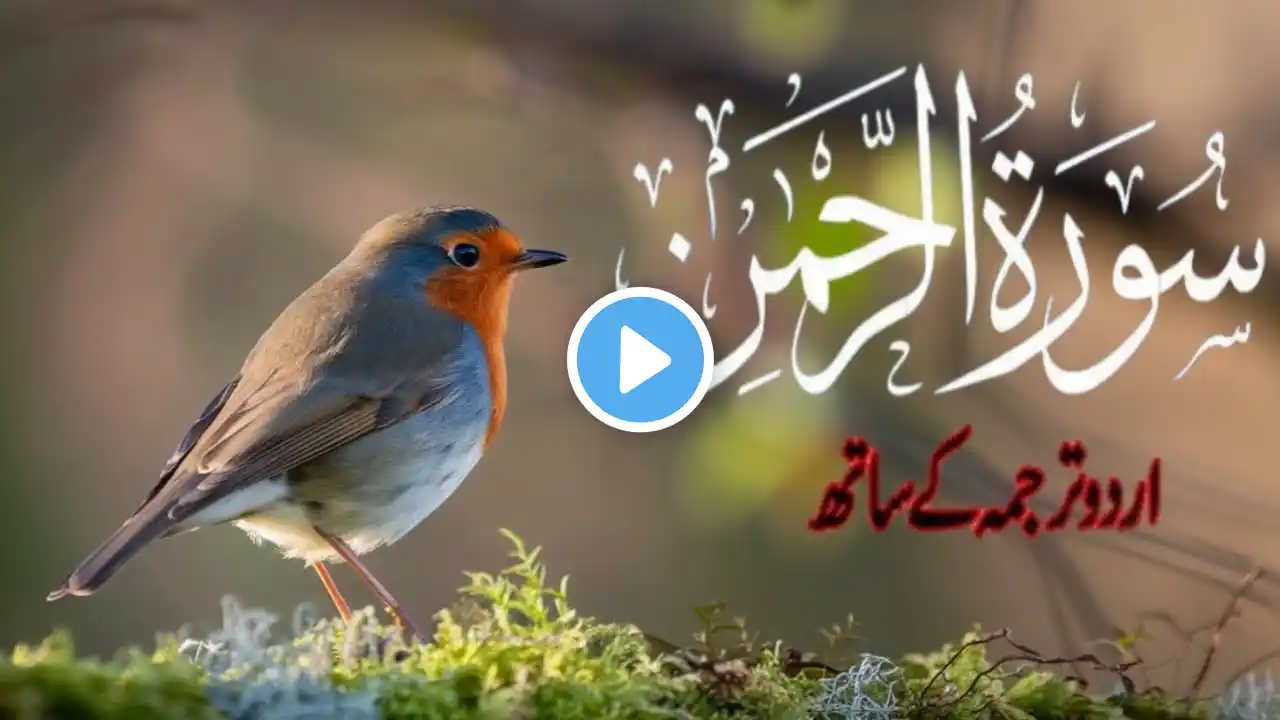 Surah rahman recitaition | Ep:69 Qari Awais سو رہ رحمٰن 55 |Beautiful Recitation|edits&gfdytrewig