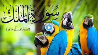 Surah Al Mulk سورة الملك | Marvelous Quran Recitation Heart Stealing Voice || Surah Al Mulk Full