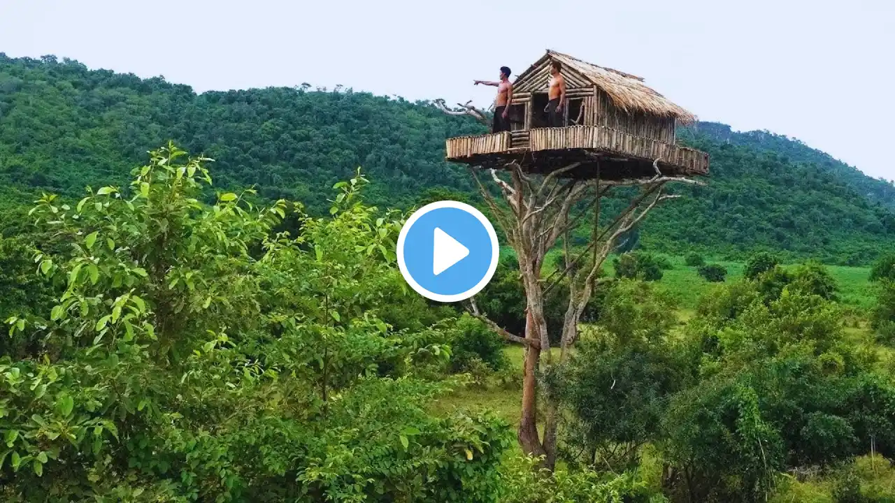 🏡🌳 Build Your Dream 12m Treehouse with a Stunning Swimming Pool! 💦