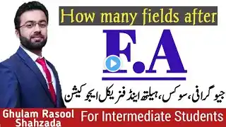 How many fields after F.A(Geography,Civics,Health & Physical Education)