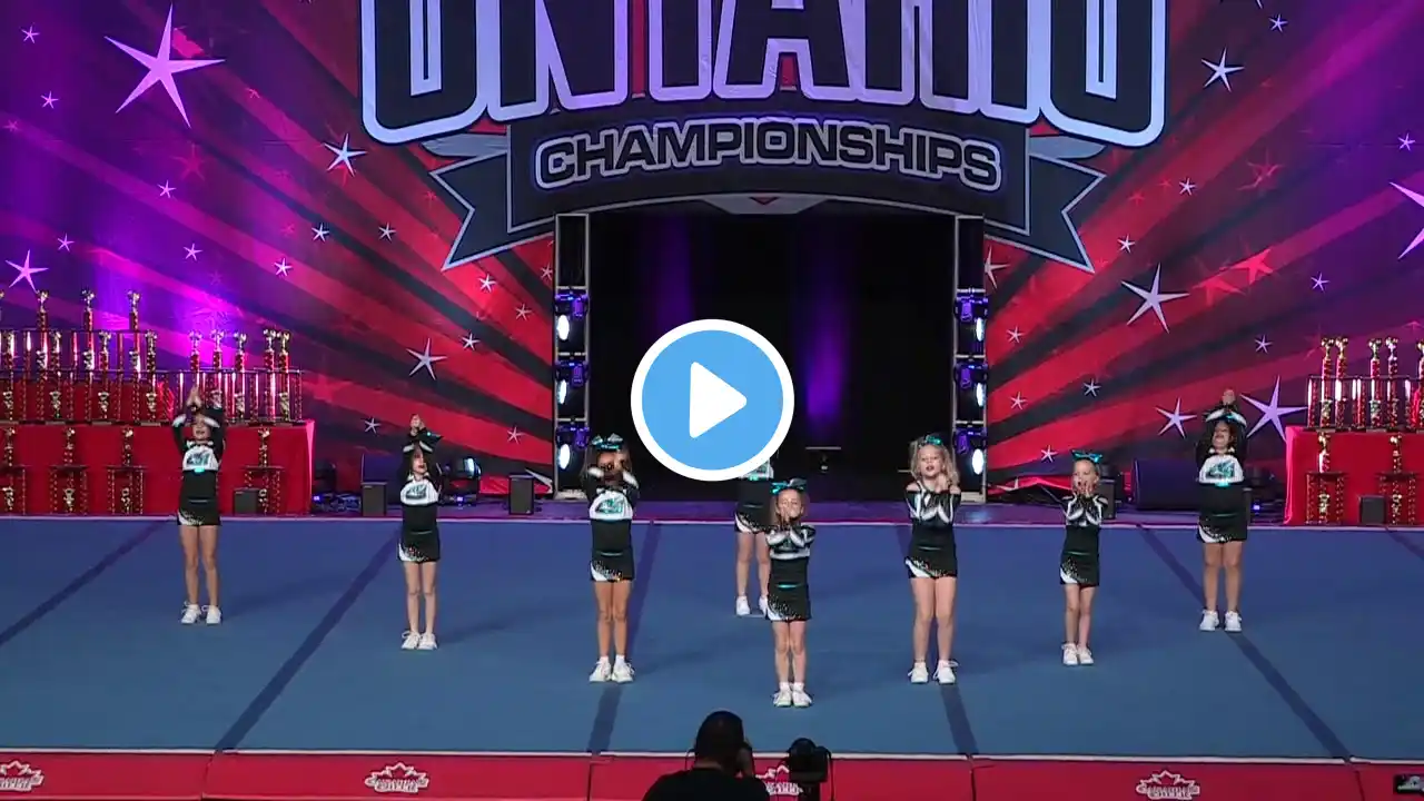 Cheer Sport Bali Sharks   Mini Prep 1