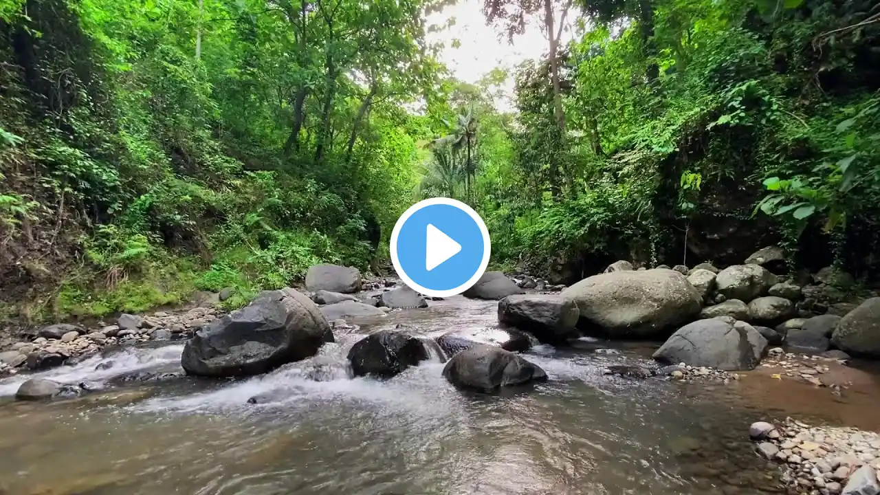 Green Forest River | Flowing Waterfall and Relaxing Stream Sounds | Deep Relaxation Ambience