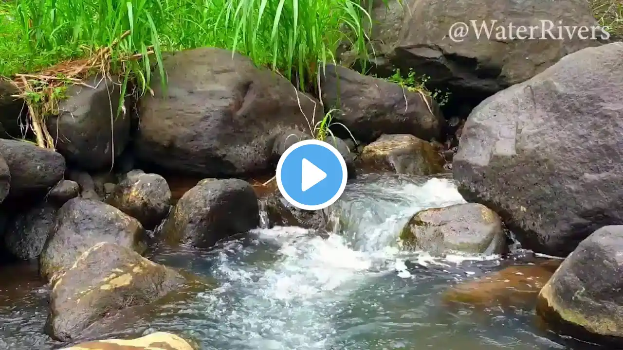 Relaxing River Sound of a forest river for sleeping, peaceful mind, calm heart, happy life