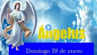 ÁNGELUS DE HOY DOMINGO 19 DE ENERO