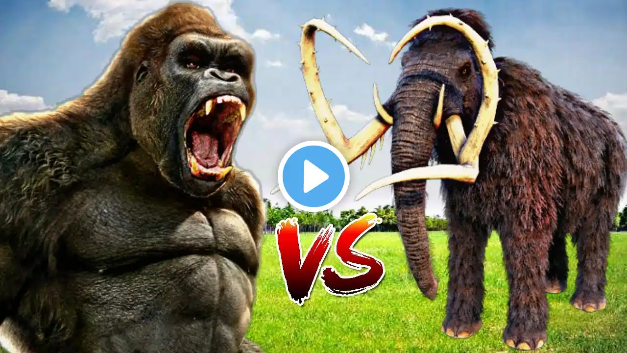 King Kong vs Mammoth || ARBS || BEBO TOONS