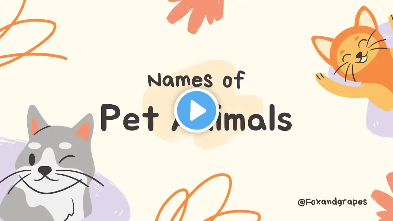 Pet Animals | Learn English Words (Spelling) | Video For Kids and Toddlers