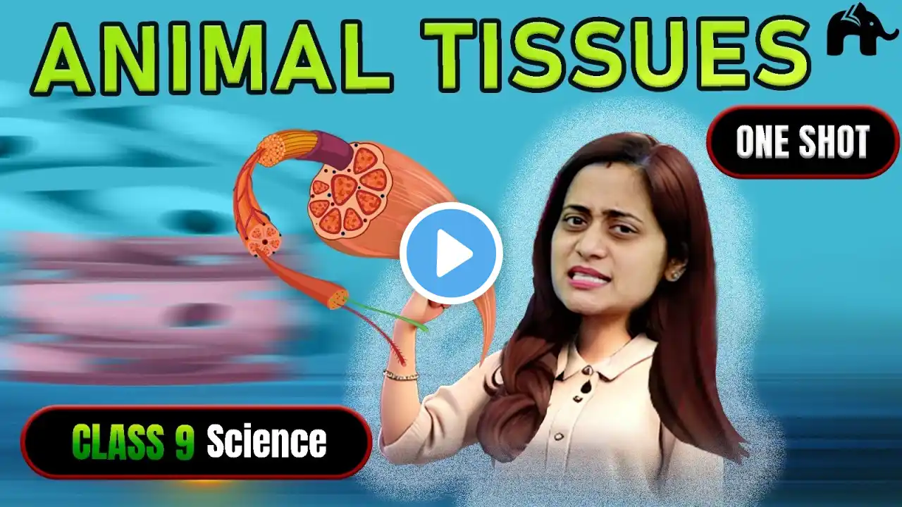 Tissues Class 9 Chapter 6 NCERT #2 | CBSE Science | Biology | Animal Tissues | One Shot