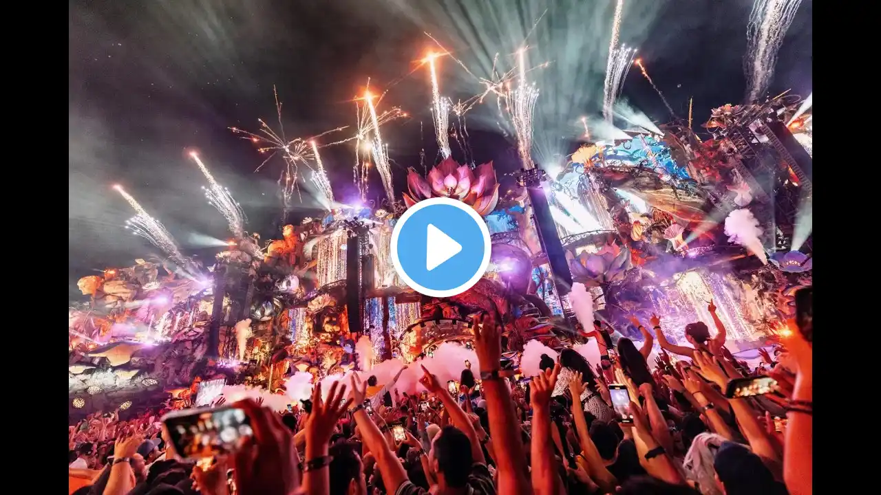 Tomorrowland 2024 - Best Songs, Remixes & Mashups, Best of EDM | Martin Garrix, Tiësto, Hardwell