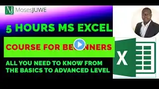 Master Excel in 5 Hours | Complete Beginner to Advanced Excel Course