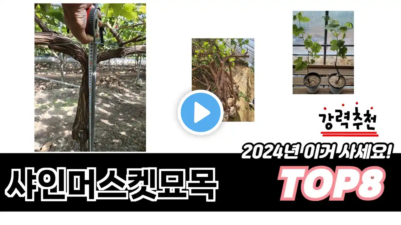 가장 많이 팔린 샤인머스켓묘목 추천 TOP 8 가격, 후기 구매처 안내