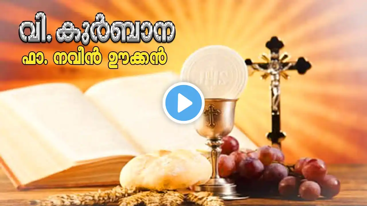 വി.കുർബാന/ Holy Mass Malayalam AUG 3/ Fr.Naveen Ukken/ Syro Malabar