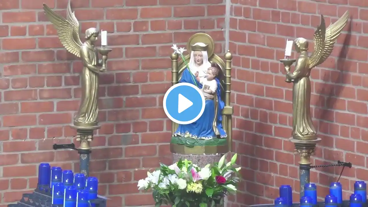 Live Divine Mercy Chaplet and Rosary - 16th June 2021