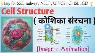 Cell structure (कोशिका संरचना) In Hindi || Human cell || plant cell || animal cell for all...