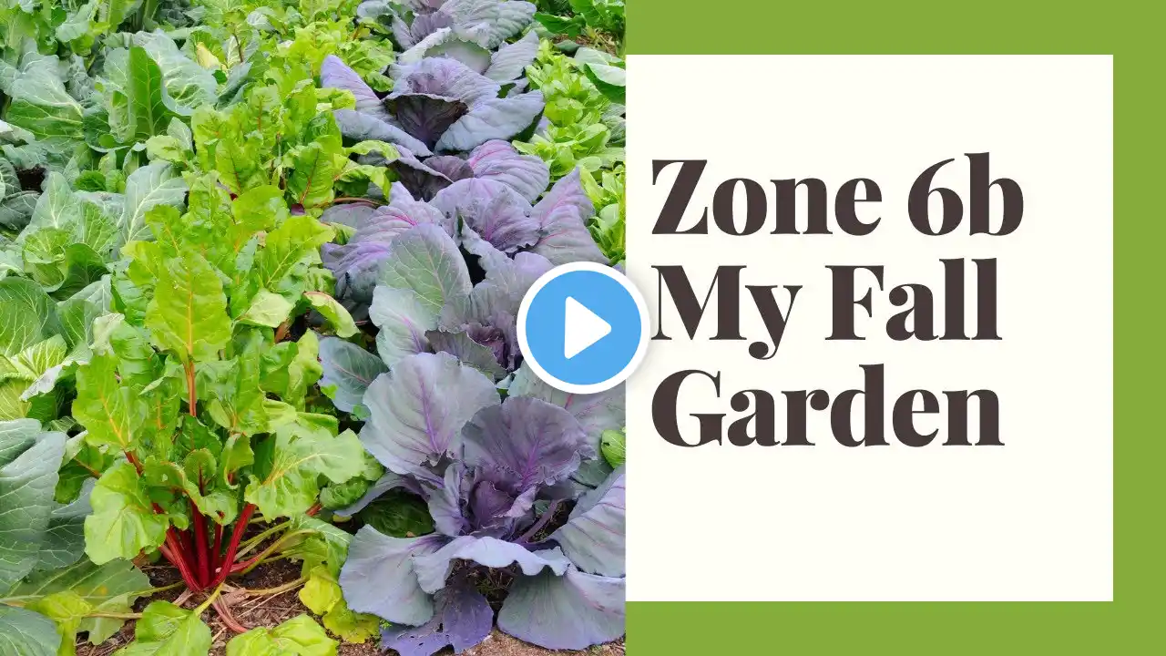 The Fall Garden Zone 6b - What I plant When - Presentation