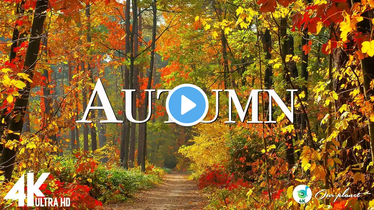 Autumn 4K - Nature’s Golden Symphony | Scenic Relaxation Film with Peaceful Relaxing Music