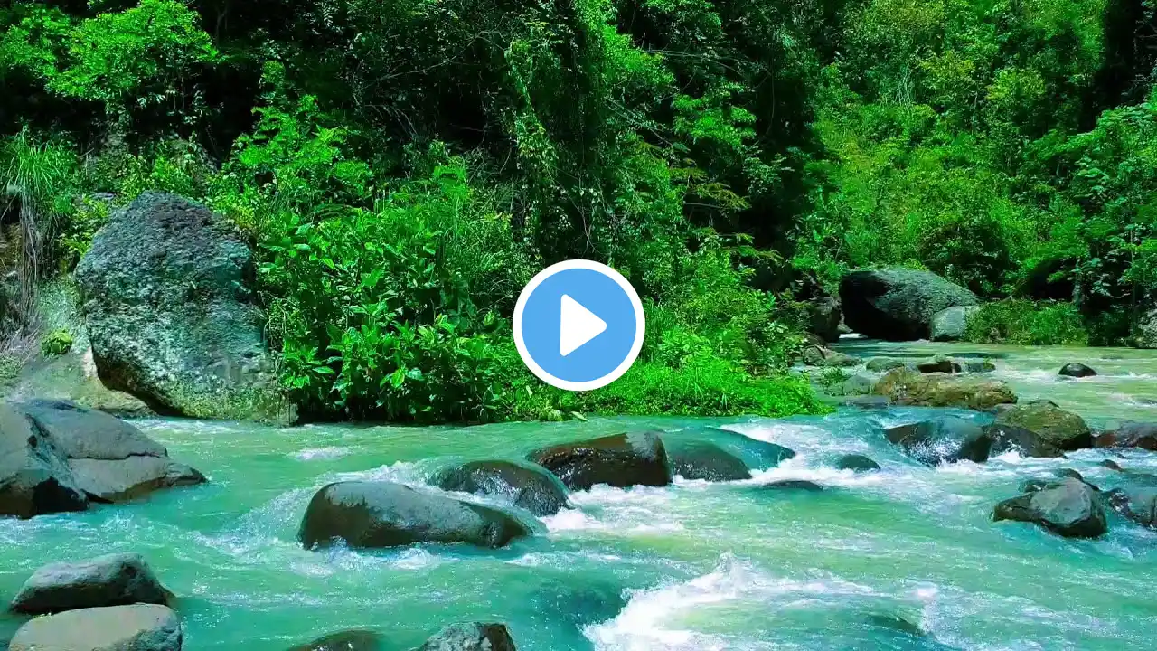 Peaceful River Flowing in Green Forest Relaxing River Sounds Nature White Noise for Sleep, Relax