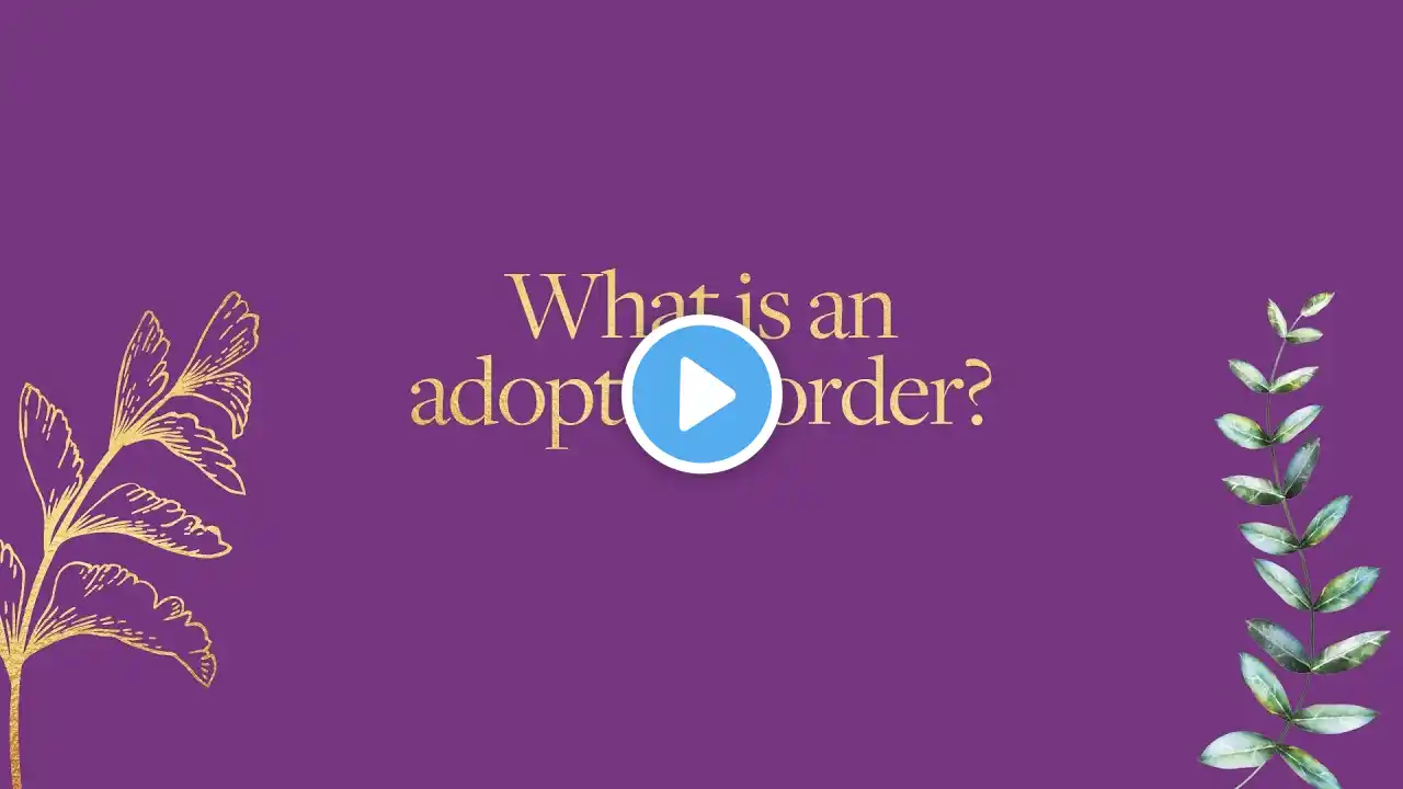 Austin Kemp What Is An Adoption Order?