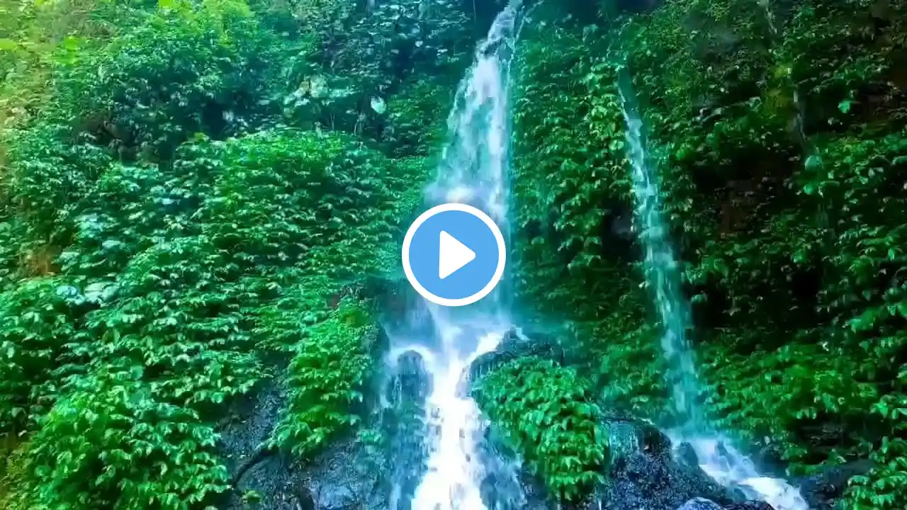Forest stream sounds asmr sleep relaxing,relaxing videos for sleep,water sounds river nature