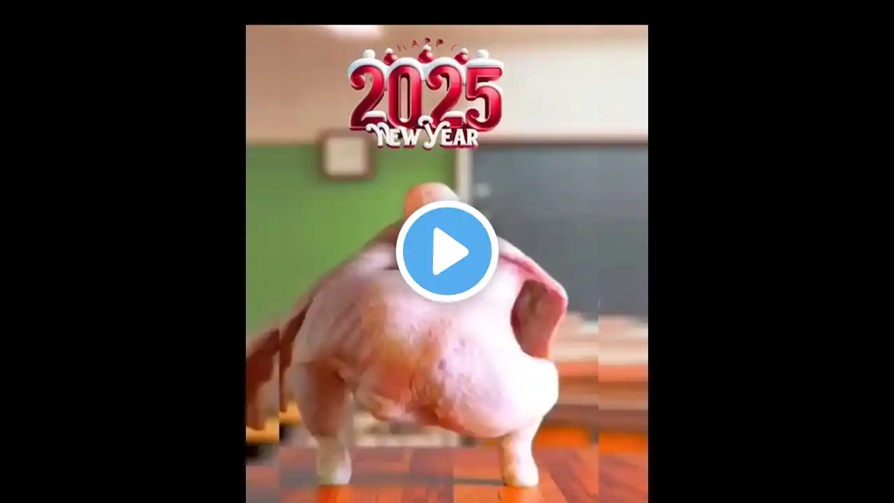 Happy New Year 2025🥳🥳 #happynewyear #2025 #Happy #newyear #kesarilal #newyear2025 #trending #shorts