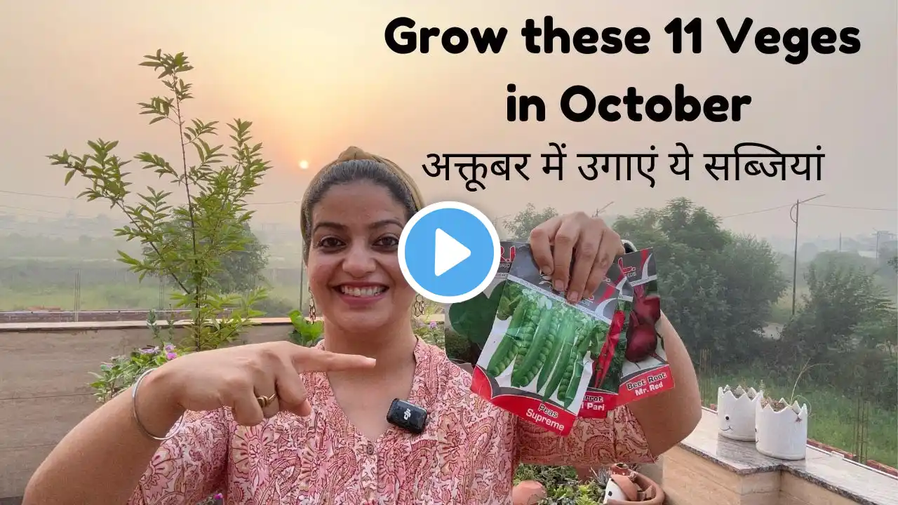 Grow these 11 Vegetables in October | अक्टूबर में ये सब्ज़ियाँ लगाएँ  #vegetablegarden