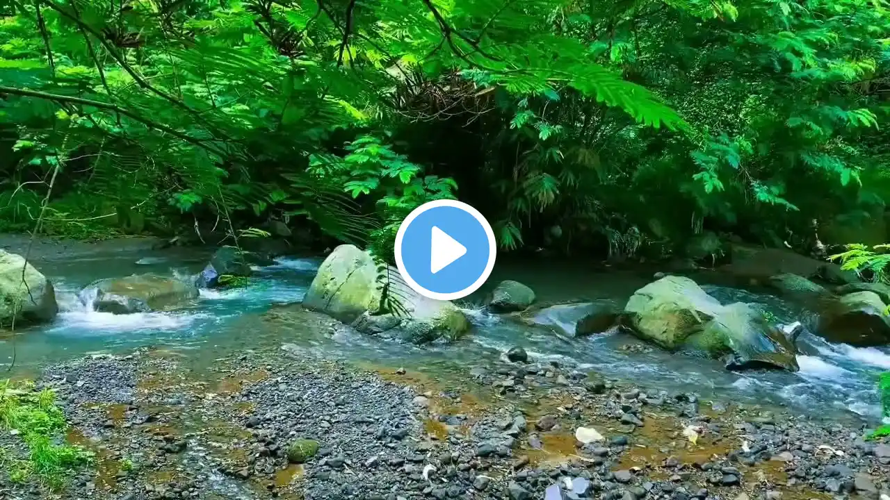 relaxing water sounds , relaxing river sounds , beautiful mountain river flow , forest stream sounds