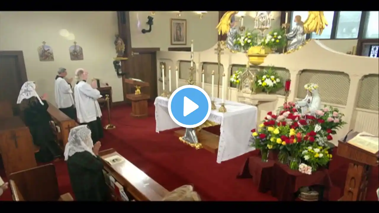 Catholic Daily Mass - Daily TV Mass - May 24, 2023