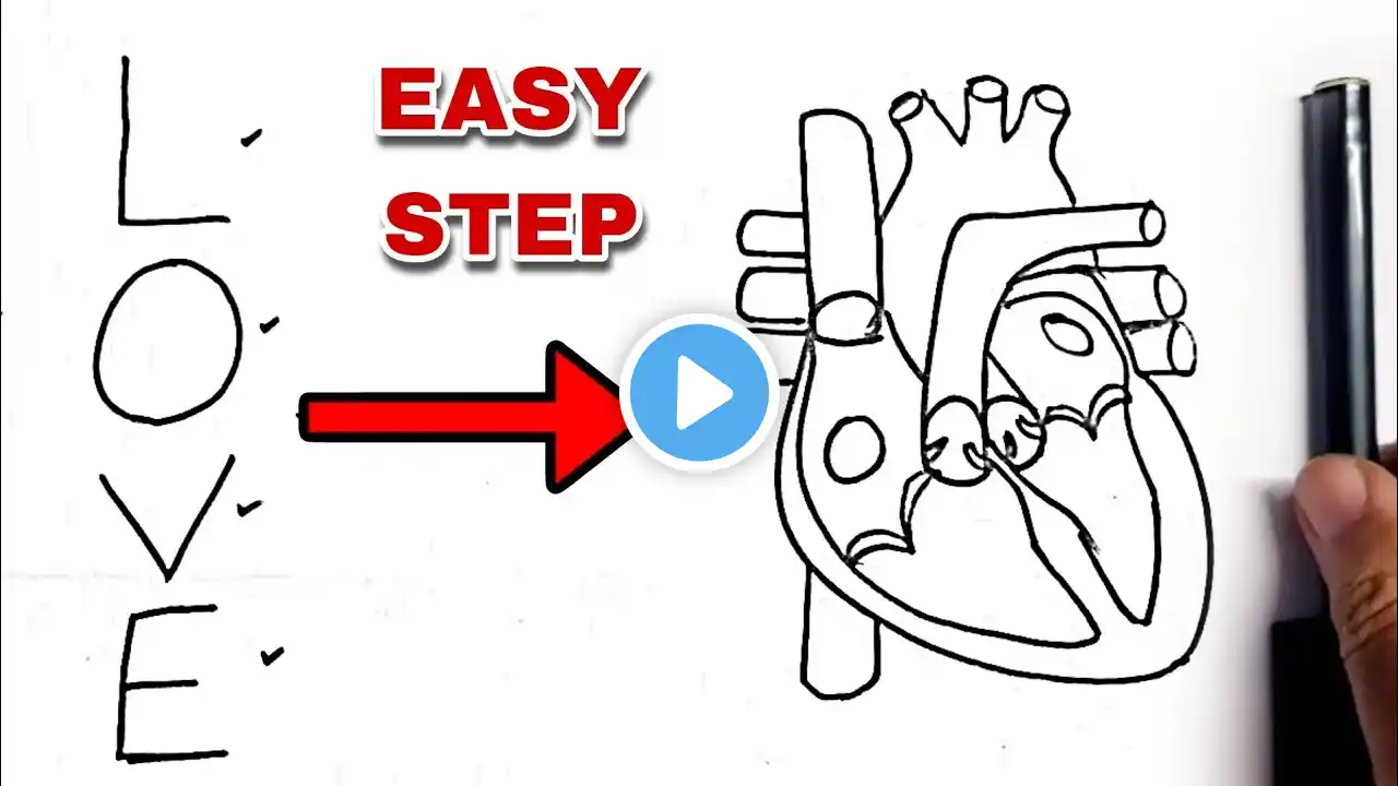 LOVE word turns into Human heart diagram drawing class 10 Science biology CBSE NCERT