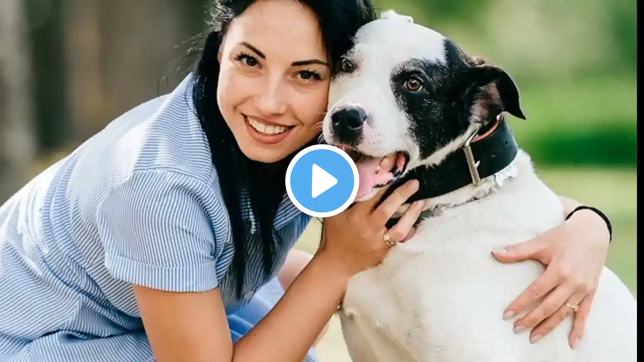 Blue Buffalo Dog Treats | Dog Food | Pet Food