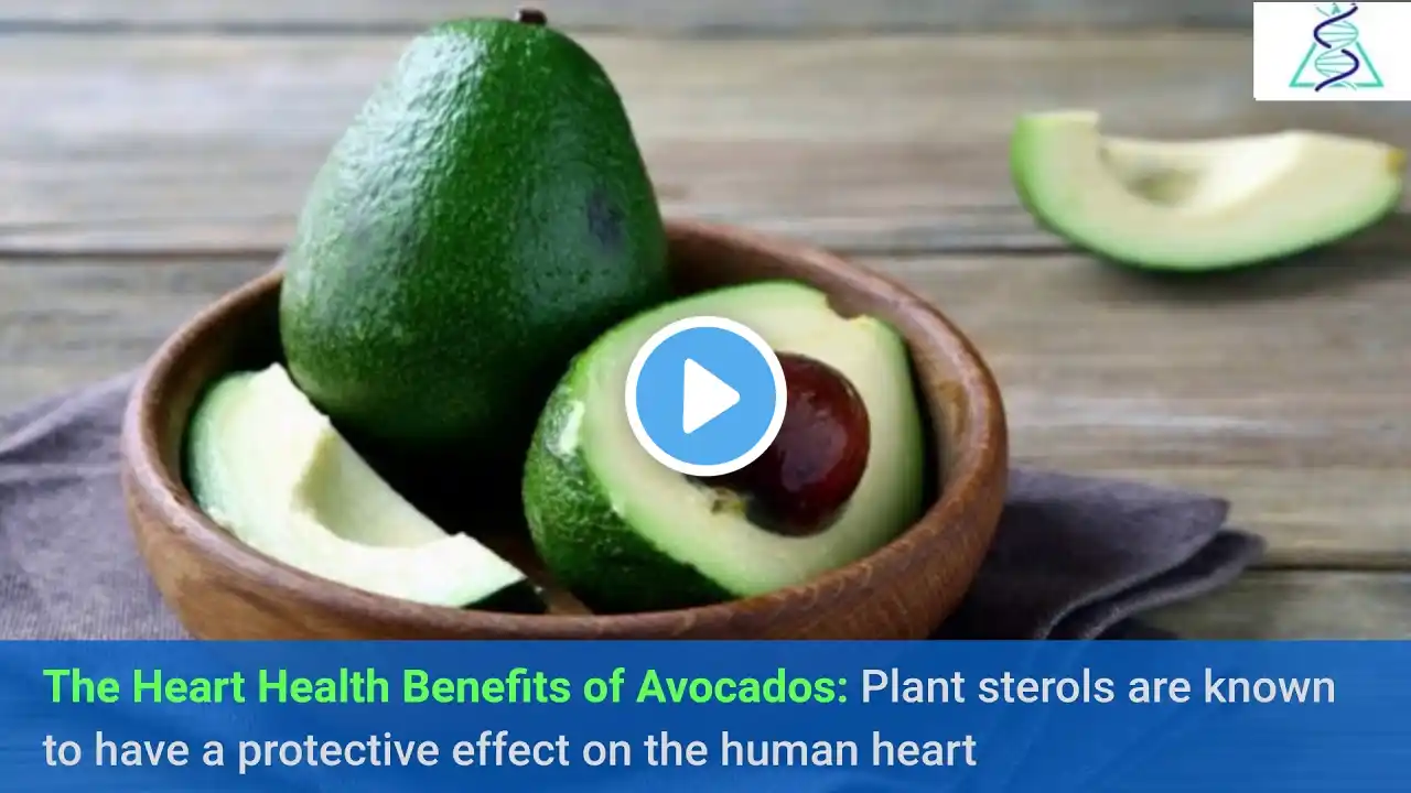 Top 5 Surprising Health Benefits of Avocado