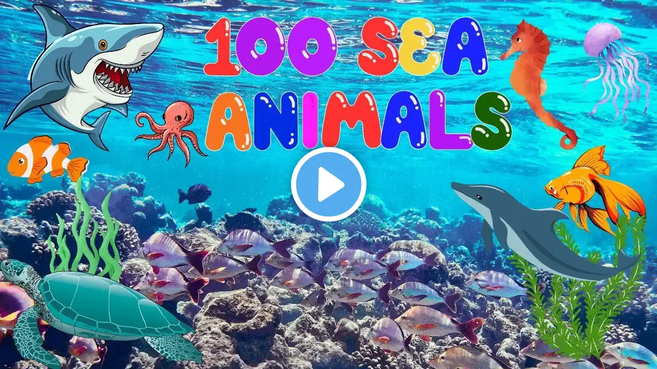 100 Sea Animals Name | Learn Aquatic animals names and Video | Ocean Animals | English Vocabulary