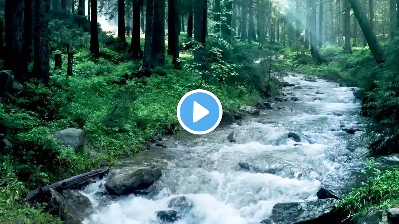 Relaxing Water Sounds for Forget Stress, Gentle Stream Sounds with Birds Chirping, Calming ASMR