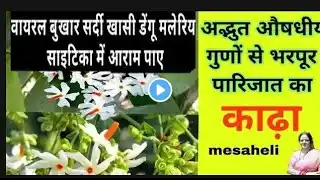 हरसिंगार( पारिजात )का काढ़ा | Parijat ka kadha kaise banate hain | harsingar ka kadha kaise banaye |