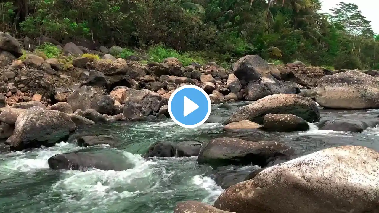 Gentle Waterfall Sounds & Green River Flow | Soothing Nature Ambience for Meditation