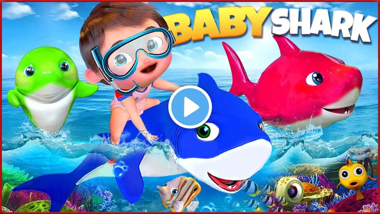 Sharky, Sharky, Let's Go! 🎶🐳 - Baby Shark - Baby songs - Nursery Rhymes & Kids Songs - Coco Mama