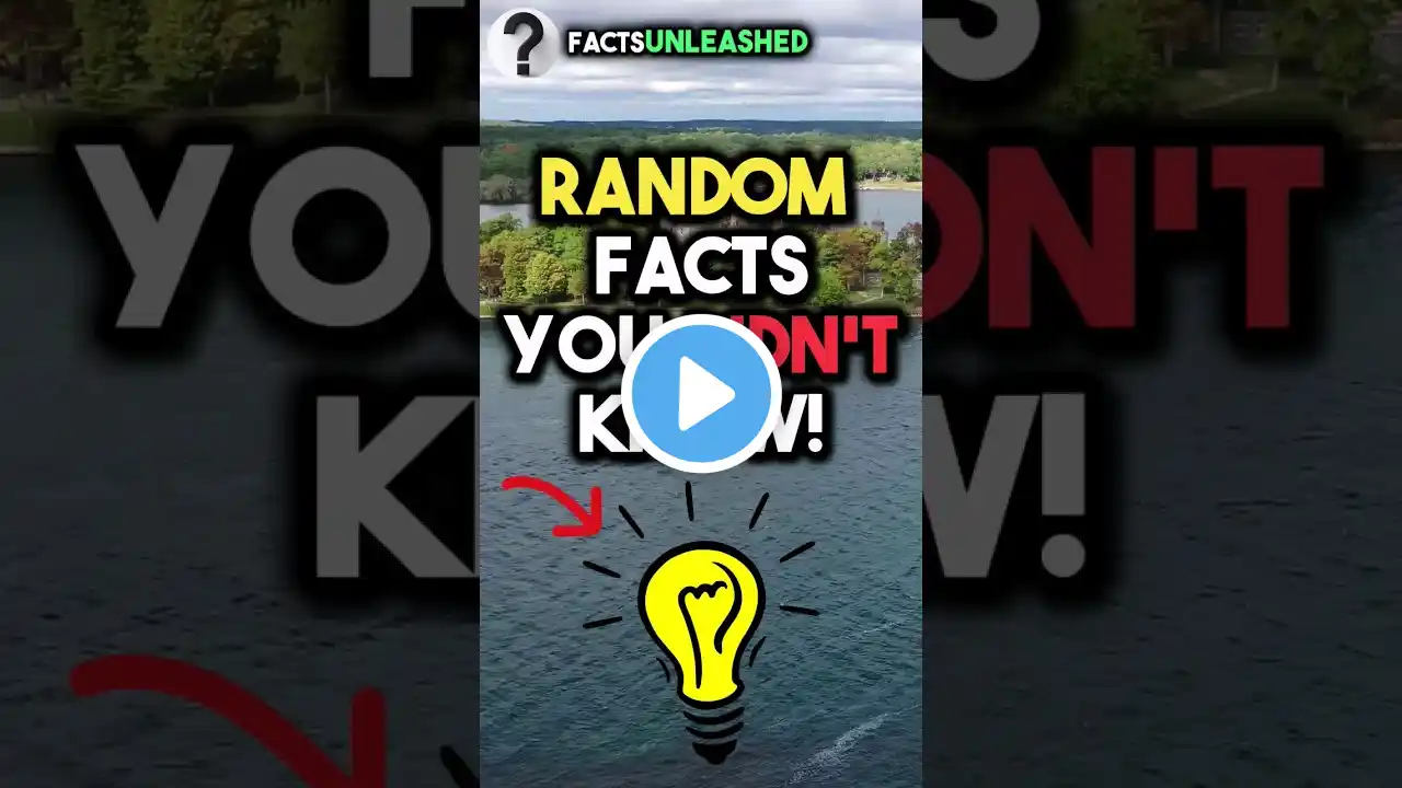 10 Random FACTS, i Bet You DIDN'T Know❗ 😲😵 #shorts