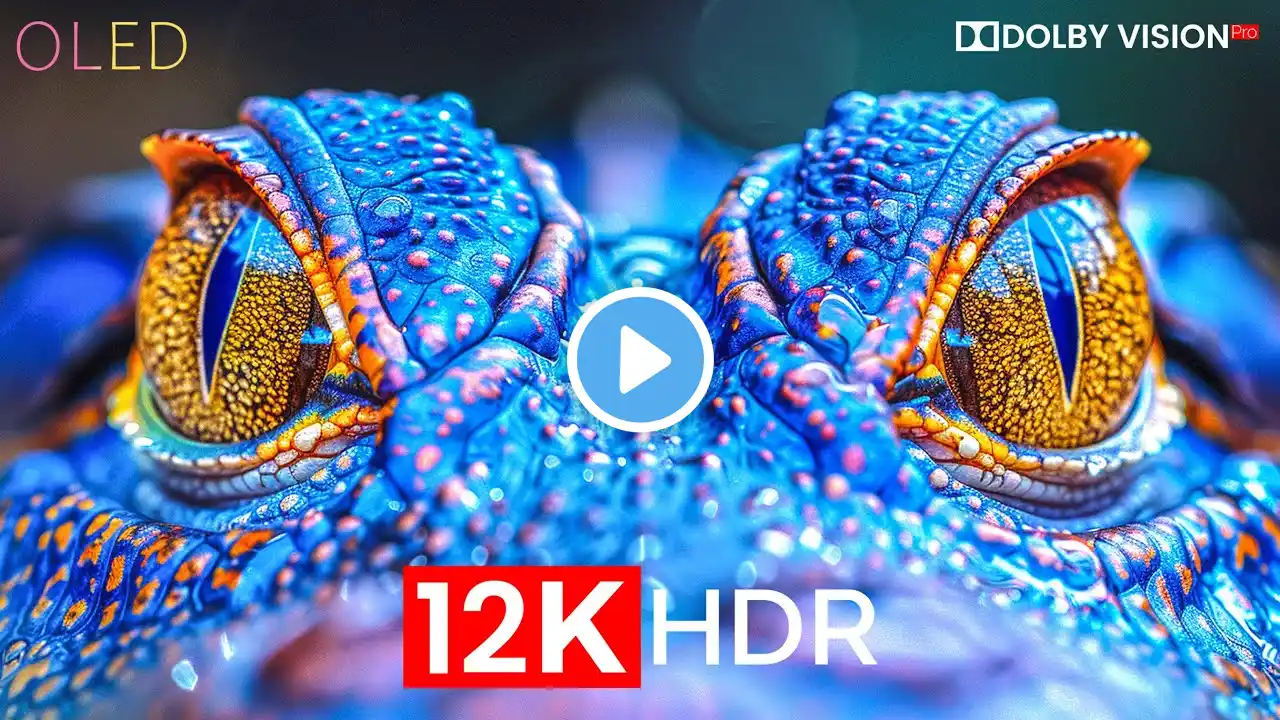 The Best Dolby Vision 12K HDR Video ULTRA HD 120 fps (8K / 4K TV)